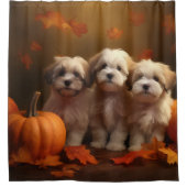 Havanese Welpe Autumn Delight Pumpkin Duschvorhang (Vorderseite)