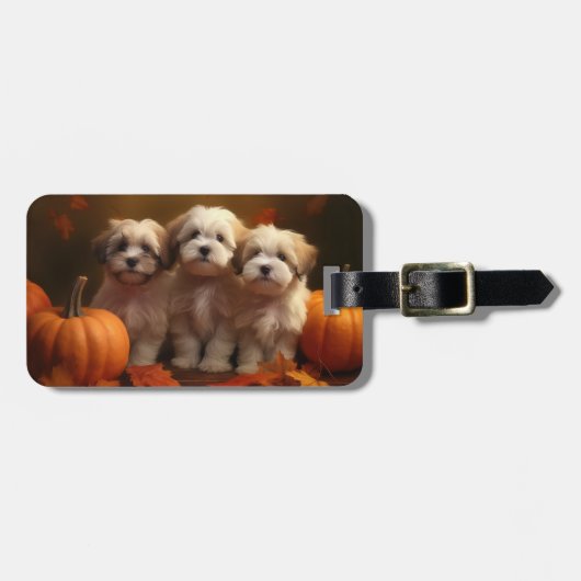 Havanese Welpe Autumn Delight Pumpkin Gepäckanhänger (Vorderseite horizontal)