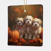 Havanese Welpe Autumn Delight Pumpkin Keramikornament (Links)