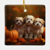 Havanese Welpe Autumn Delight Pumpkin Keramikornament (Vorderseite)