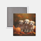 Havanese Welpe Autumn Delight Pumpkin Magnet (Vorderseite/Rückseite)
