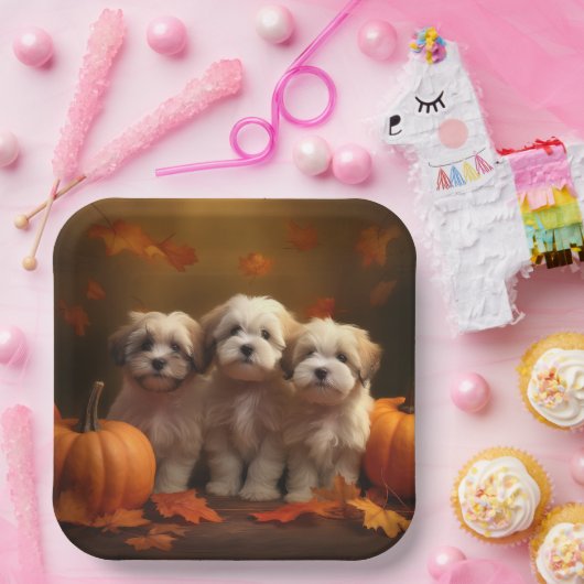 Havanese Welpe Autumn Delight Pumpkin Pappteller (Party)