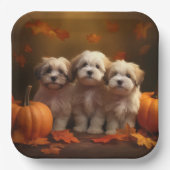 Havanese Welpe Autumn Delight Pumpkin Pappteller (Vorderseite)