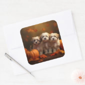Havanese Welpe Autumn Delight Pumpkin Quadratischer Aufkleber (Umschlag)
