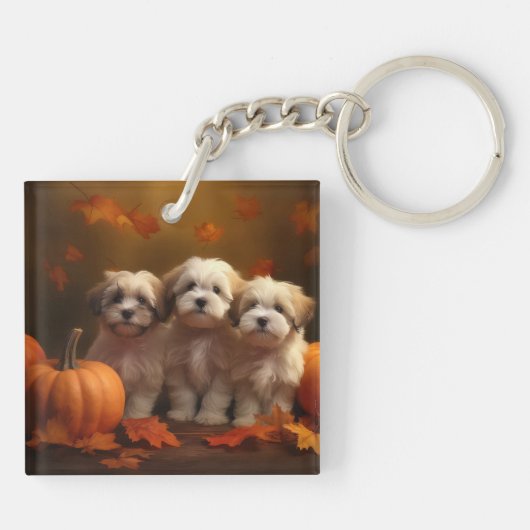 Havanese Welpe Autumn Delight Pumpkin Schlüsselanhänger (Rückseite)