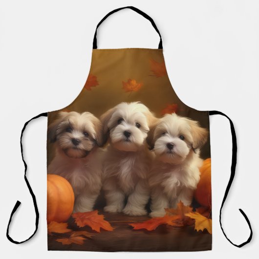 Havanese Welpe Autumn Delight Pumpkin Schürze (Vorderseite)