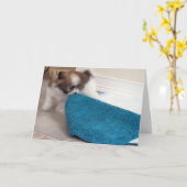 Havanese Welpe, der seine Wolldecke bewegt Karte (Gelbe Blume)