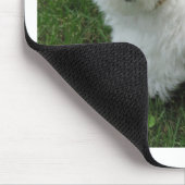 Havanese Welpe im Garten Mousepad (Ecke)