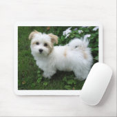 Havanese Welpe im Garten Mousepad (Mit Mouse)