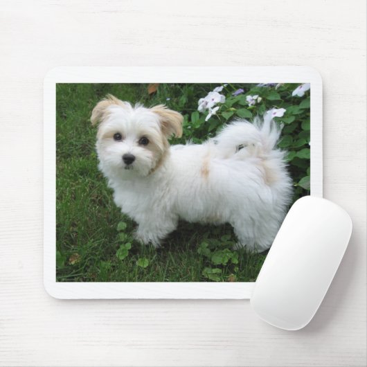 Havanese Welpe im Garten Mousepad (Mit Mouse)