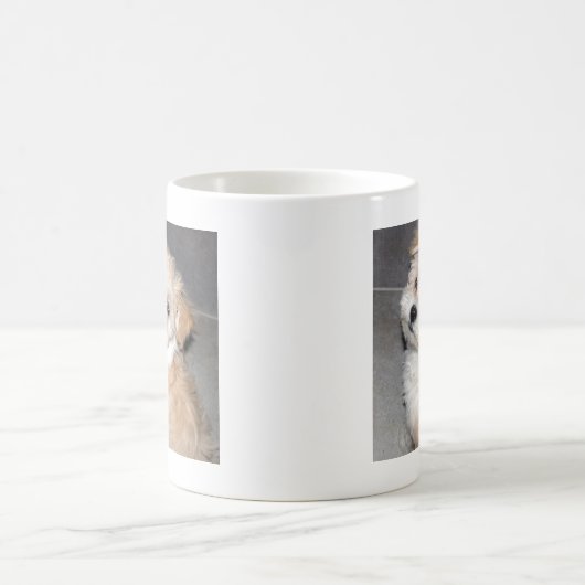 Havanese Welpe Kaffeetasse (Mittel)