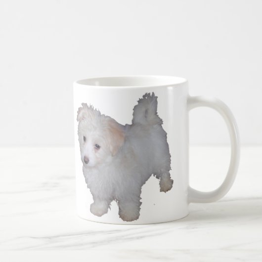 Havanese Welpe Kaffeetasse (Rechts)