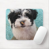 Havanese Welpe Mousepad (Mit Mouse)