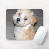 Havanese Welpe Mousepad (Mit Mouse)