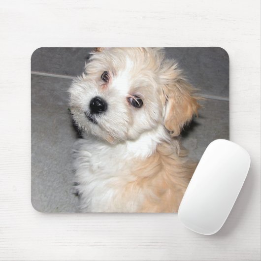Havanese Welpe Mousepad (Mit Mouse)