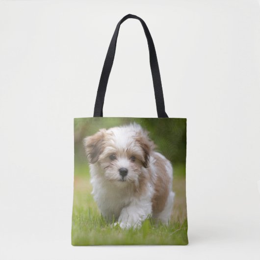 Havanese Welpe Tasche (Vorderseite)