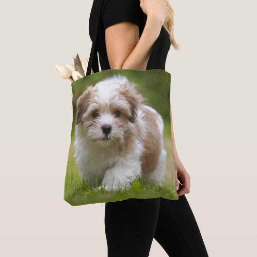 Havanese Welpe Tasche (Von Nahem)