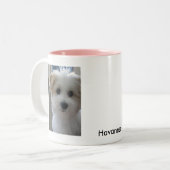 Havanese Welpe Zweifarbige Tasse (Vorderseite Links)