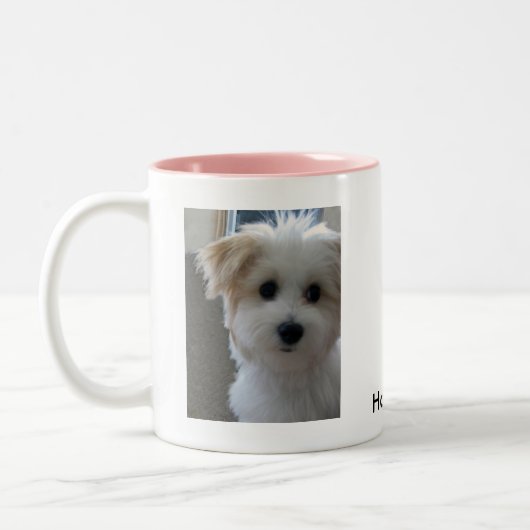 Havanese Welpe Zweifarbige Tasse (Links)