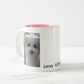 Havanese Welpe Zweifarbige Tasse (Vorderseite Links)