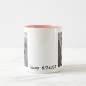 Havanese Welpe Zweifarbige Tasse (Mittel)