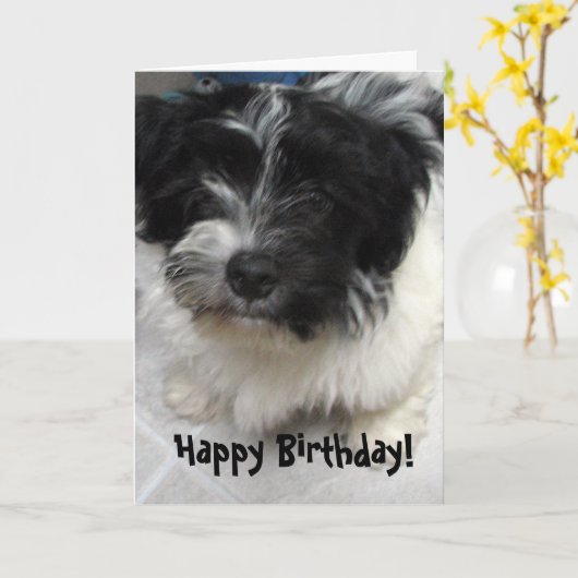 Havanese Welpen-Geburtstag Karte (Gelbe Blume)
