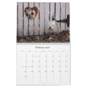 Havanese Welpen-Rettungs-Kalender 2012 Kalender (Feb 2027)