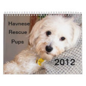 Havanese Welpen-Rettungs-Kalender 2012 Kalender (Titelbild)