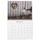 Havanese Welpen-Rettungs-Kalender 2012 Kalender (Feb 2026)