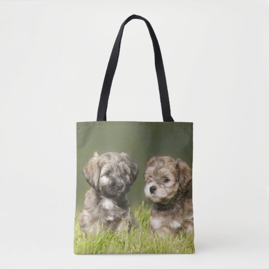 Havanese Welpen Tasche (Vorderseite)