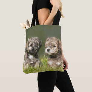 Havanese Welpen Tasche