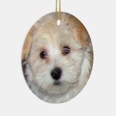 Havanese Welpen-Verzierung Keramikornament (Rechts)