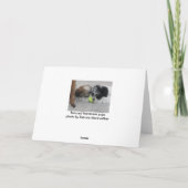 Havanese Welppies Happy Birthday Karte (Rückseite)