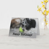 Havanese Welppies Happy Birthday Karte (Gelbe Blume)