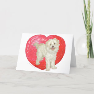 Havanese/Westie Mix Valentinstag Feiertagskarte