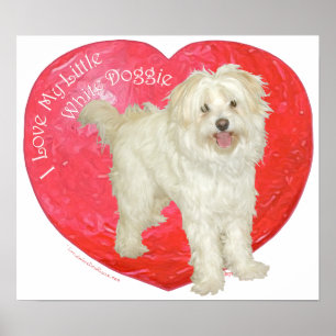 Havanese/Westie Mix Valentinstag Poster