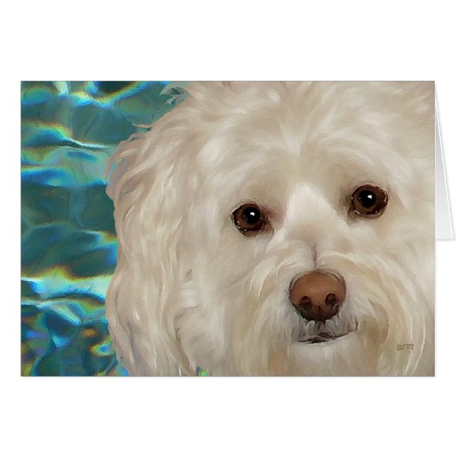 Havanese zum türkisfarbenen Wasser (Vorderseite (Horizontal))