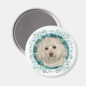 Havanese zum türkisfarbenen Wasser Magnet (Vorderseite/Rückseite)