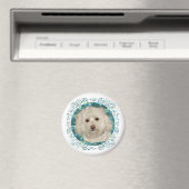 Havanese zum türkisfarbenen Wasser Magnet (In Situ (Geschirrspüler))