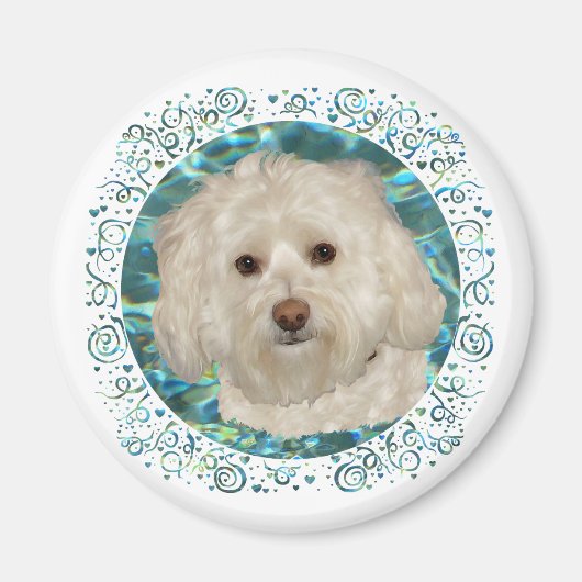 Havanese zum türkisfarbenen Wasser Magnet (Vorne)