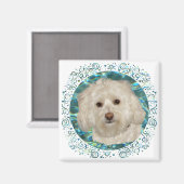 Havanese zum türkisfarbenen Wasser Magnet (Vorderseite/Rückseite)