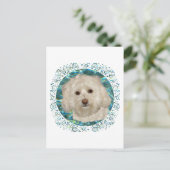 Havanese zum türkisfarbenen Wasser Postkarte (Stehend Vorderseite)