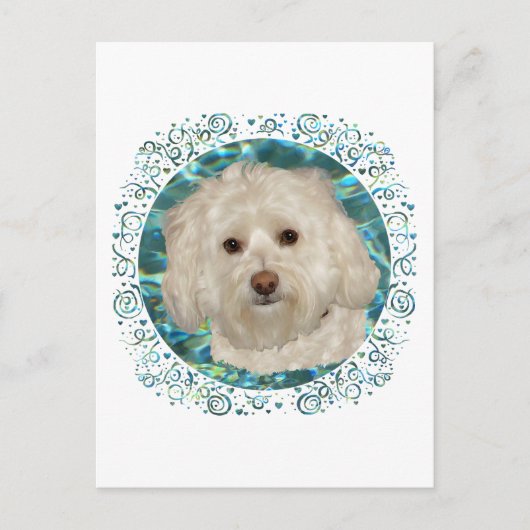 Havanese zum türkisfarbenen Wasser Postkarte (Vorderseite)