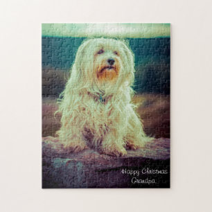 Havaneser Hund. Puzzle
