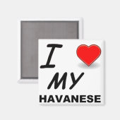 havanesische Liebe Magnet (Vorderseite/Rückseite)