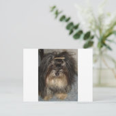 havanisch postkarte (Stehend Vorderseite)