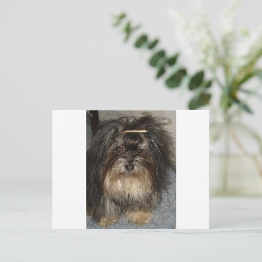 havanisch postkarte (Stehend Vorderseite)