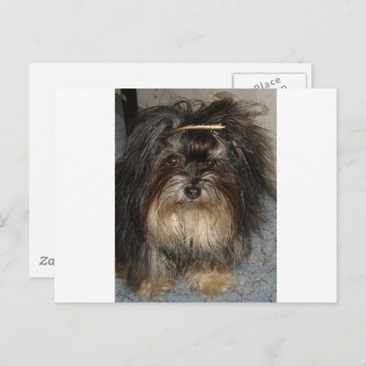 havanisch postkarte (Vorne/Hinten)