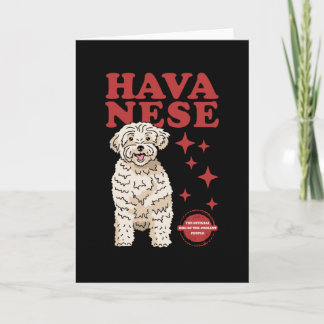 Havanischer Hund der Coolsten | Havaneses Karte