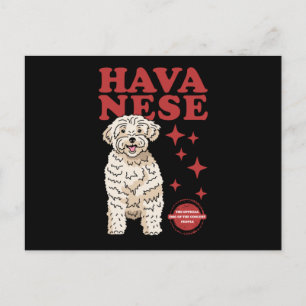 Havanischer Hund der Coolsten Havaneses Postkarte
